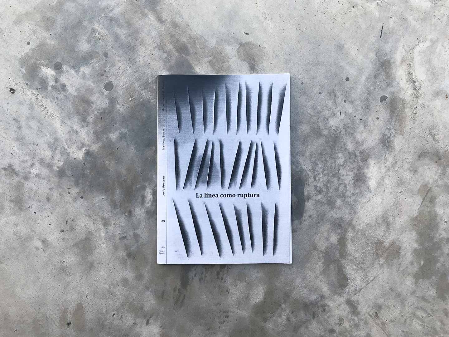 Manifiesto Blanco