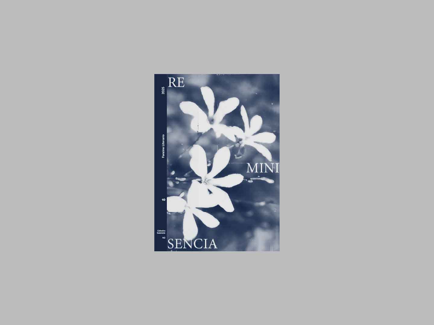 Fanzine Literario – Reminiscencia