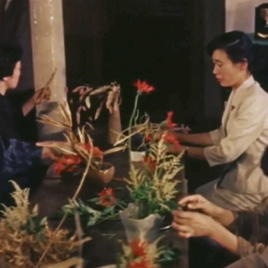 Objeto de Estudio – HANAMI (2025)